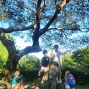 표선생활체육관 이미지