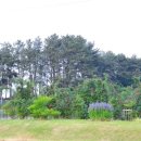 야곱한우농장 이미지