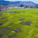 성진부동산앞 이미지