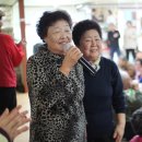 자등 2리 이미지