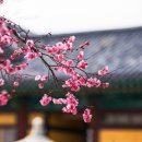 송학 행정사 사무소 이미지
