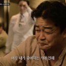 돼지도온