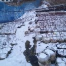 유목농장 이미지