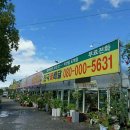 이안인터내셔날 이미지