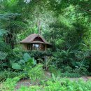 가나골프클리닉 | 2019년 여름휴가 - 끄라비 여행 &amp; 라야바디 스테이 후기