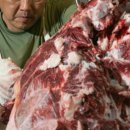 양평정육점 - 가평군 청평중앙로 64-1 | 양평정육점