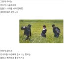 도란 이미지