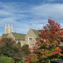 뉴대장금 | 미국 🇺🇸 보스턴 포토덤핑-33 하버드에서 생긴 일