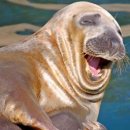 향촌수제화센터 | 가죽체험공방 후기(향촌수제화센터)