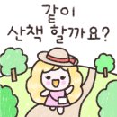 컵넛 진주초전점