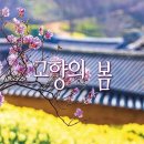 고향의봄 이미지