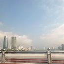 베트남골목식당까페홍 남원점 | [베트남] 4,5일차 | 포홍쌀국수, 반미코티엔, 한시장, 핑크성당, 남하우스카페, 피자포피스, 허벌...