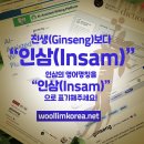 우리인삼약초