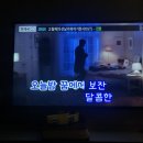 참새 노래연습장 이미지