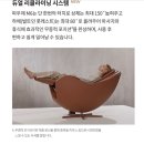 파우제 | 세라젬 파우제 M6 내돈내산후기 견적비교공유