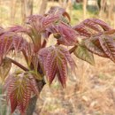 내동농장 이미지