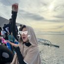 (주)평화산소 | 세부 호핑 투어 후기 :: 효도여행 썬마호핑(내돈내산)