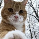 테마민박가든 | {🇬🇧} I 🩶 른든 | 런던 3박 4일 여행 일정 추천 | 맘마미아 뮤지컬 | 런던 3월 날씨 | 한인민박