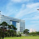 야금야금 Insight Korea