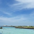 메가리조트제주 이미지