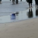 낙동강변로 이미지