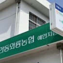 안동와룡농업협동조합예안지점 이미지