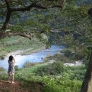 나란히 흐르다 이미지