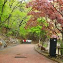 강천산군립공원(병풍폭포) 이미지