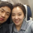 부라보여행사