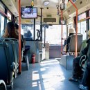 주정차75 이미지