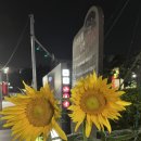 7월 둘째 주 주간 일기