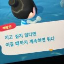 용인대 양천유도관 이미지