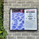 수분식 | 제천 맛집 덩실분식 평일 웨이팅 및 주차 후기!