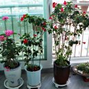 용산-222 이미지