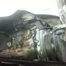 오정차사랑 이미지