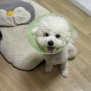 현식농장 이미지