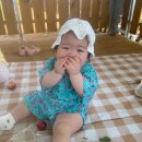 아가숲어린이집 이미지