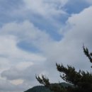 경기도 안성시 안성1동주민센터 이미지