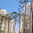 산내들공인중개사사무소 이미지