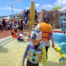 멘토 드림태권도장 이미지