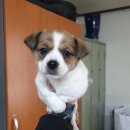 부영3차아파트 이미지