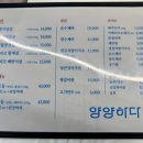 양양하다 이미지