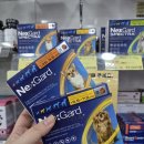 녹십자약국 | 평택동물약국 <365 녹십자약국> 넥스가드스펙트라 구입 후기