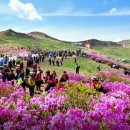 한남대학교 경영대학원 이미지