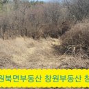 급매 【창원부동산】 창원북면 온천 5분 싼토지 (창녕부동산) 북면부동산 이미지