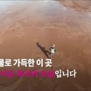 7년 뒤에 북극 빙하 모두 녹을 예정인 거 알고있었는지 달글 이미지