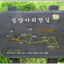 3월4일(금) 밀양 추화산 아리랑길~해천 독립운동 테마거리 트레킹/개척산행 이미지