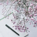 기쁨이 넘치는 약국 | 추석인사말 총정리(가족, 직장, 메세지)