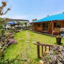 쿠시쿠시하우스 이미지