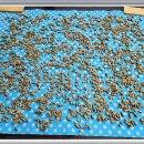 땅콩민박 이미지